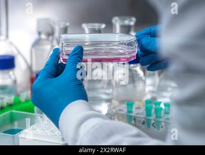 Scienziato senior che tiene il campione medico in fiasca per colture cellulari presso il laboratorio Foto Stock