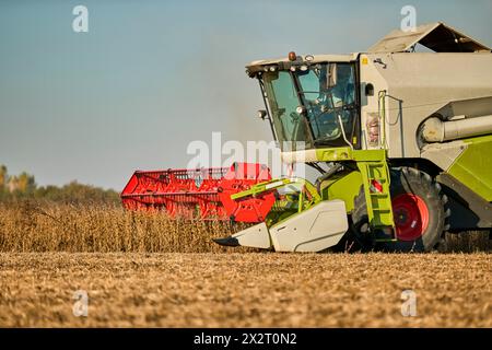 Agricoltore seduto nella mietitrebbiatrice e che lavora nel campo della soia Foto Stock