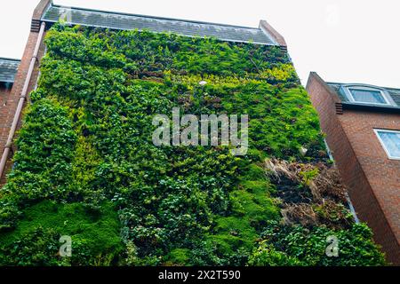 Alto edificio residenziale con giardino verticale Foto Stock