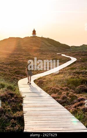 Germania, Schleswig-Holstein, Amrum, uomo che cammina lungo la passerella che si estende attraverso heather Moor verso il faro sullo sfondo Foto Stock