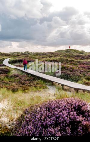 Germania, Schleswig-Holstein, Amrum, cielo nuvoloso sull'uomo che cammina lungo la passerella che si estende attraverso heather Moor Foto Stock