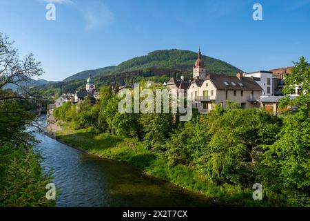 Austria, bassa Austria, Waidhofen an der Ybbs, città sulla riva del fiume Ybbs in estate Foto Stock