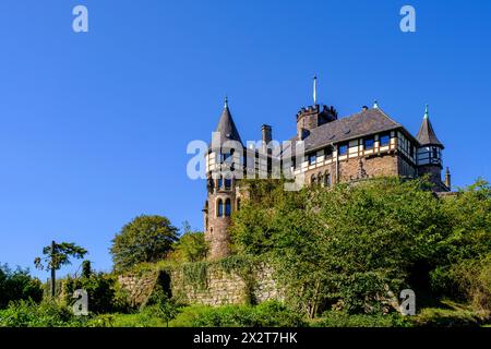 Germania, Assia, Witzenhausen, Schloss Berlepsch in estate Foto Stock