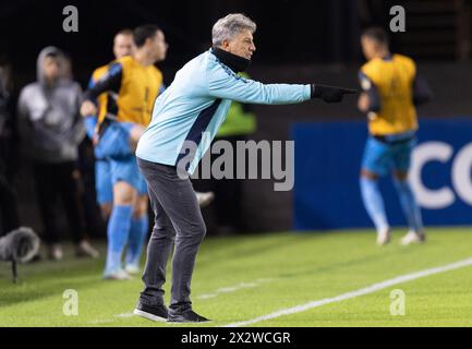 La Plata, Argentina. 23 aprile 2024. Gremio allenatore Renato Portaluppi durante la partita tra Estudiantes e Gremio per il terzo turno del girone C della Copa Libertadores 2024, allo Jorge Kuis Hirschi Stadium, a la Plata, Argentina, il 24 aprile. Foto: Richard Ducker/DiaEsportivo/Alamy Live News Foto Stock