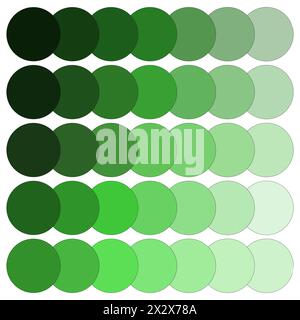 Array di cerchi a gradiente verde. Spettro della tavolozza dei colori verdi. Collezione di forme rotonde. Illustrazione vettoriale. EPS 10. Illustrazione Vettoriale