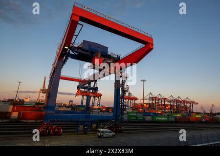 31.08.2022, Amburgo, Amburgo, Germania - collegamento ferroviario al terminal container Tollerort (CTT) di HHLA. 00A220831D458CAROEX.JPG [VERSIONE MODELLO: NON APPL Foto Stock