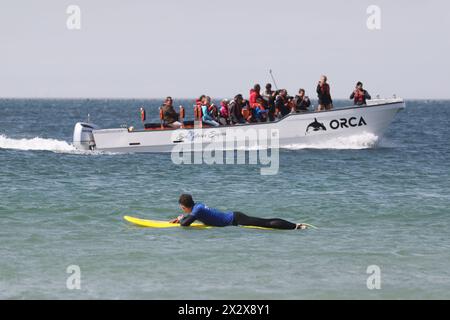 25.07.2019, Raposeira, Algarve, Portogallo - persone in un tour di avvistamento delle balene. 00S190725D056CAROEX.JPG [VERSIONE MODELLO: NO, RILASCIO PROPRIETÀ: NO (C) CARO Foto Stock