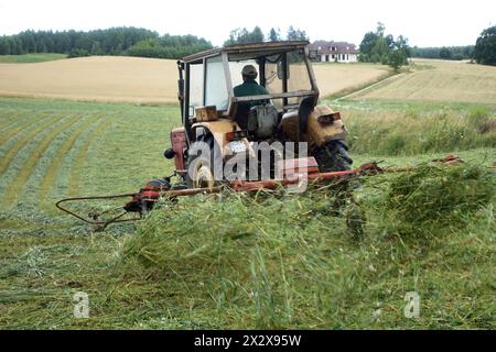 21.07.2020, Lanken, grande Polonia, Polonia - l'erba tagliata viene fatta asciugare su un campo. 00S200721D150CAROEX.JPG [RILASCIO MODELLO: NO, RILASCIO PROPRIETÀ: NO Foto Stock
