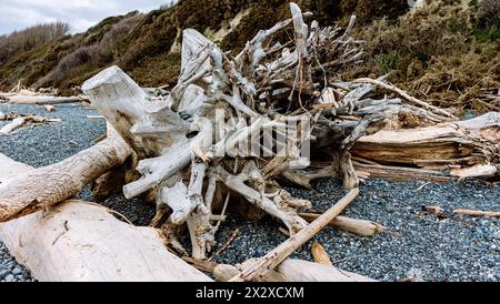 Tronchi di alberi e ceppi lavati fuori dal mare e utilizzati dalle persone per creare una sorta di rifugio a Spiral Beach, Victoria, British Columbia. Foto Stock