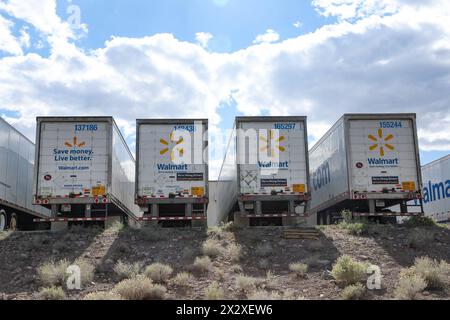 Sparks, Nevada, Stati Uniti. 19 aprile 2024. I loghi Walmart sono visibili sui trailer al di fuori di un centro di adempimento Walmart. Il centro di evasione Walmart aiuta i venditori a memorizzare, gestire e spedire i loro prodotti. I centri di evasione Walmart sono simili a quelli di Amazon Fulfillment by Amazon per rimanere competitivi. (Credit Image: © Gabe Ginsberg/SOPA Images via ZUMA Press Wire) SOLO PER USO EDITORIALE! Non per USO commerciale! Foto Stock