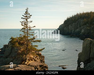 Scogliere al Quoddy Head State Park, Lubec, Maine Foto Stock