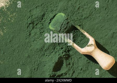 Polvere di alghe spirulina verde organica naturale in cucchiaio di legno su sfondo neutro. Fonte e disintossicazione di integratori superalimentari vegani con alghe di clorella. Copia spazio sano concetto di antiossidante nutrizionale Foto Stock