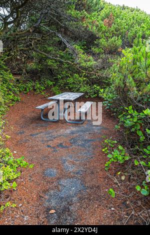 Un tavolo da picnic in una cavità isolata al Carl G Washburne Memorial State Park sulla costa del Pacifico in Oregon, Stati Uniti Foto Stock