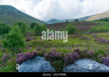 Vista della natura nelle montagne degli altopiani Foto Stock