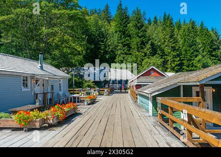 Colorata strada di Telegraph Cove in estate, Isola di Vancouver, Columbia Britannica, Canada. Foto Stock