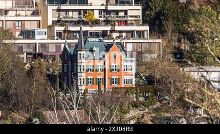 Schaffhausen, Schweiz - 17. Gennaio 2021: Blick auf die Häuser des Schaffhauser Quartier Buchthalen. Foto Stock