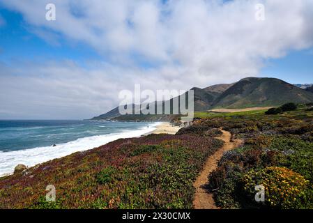 Un sentiero idilliaco su una collina sulla spiaggia nel Garrapata State Park - Big Sur, California Foto Stock