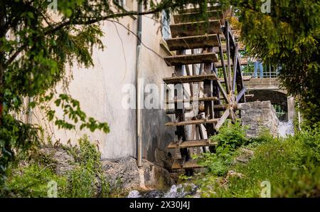 DAS Wasserrad bei der alten Mühle beim Rheinfall dreht sich noch heute - Dank Wasserkraft. (Neuhausen am Rheinfall, Svizzera, 16.05.2022) Foto Stock