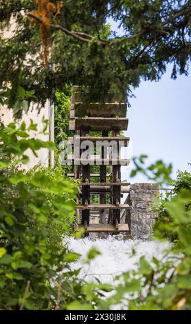 DAS Wasserrad bei der alten Mühle beim Rheinfall dreht sich noch heute - Dank Wasserkraft. (Neuhausen am Rheinfall, Svizzera, 16.05.2022) Foto Stock