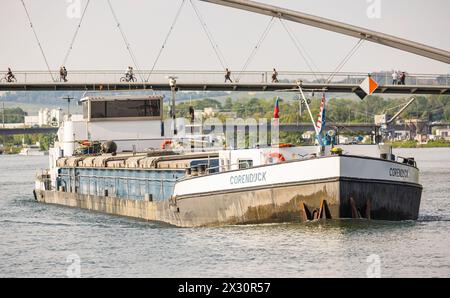 DAS Frachtschiff Corendijck auf dem Rhein in Fahrtrichtung Schweizer Rheinhäfen. (Basilea, Svizzera, 09.05.2022) Foto Stock