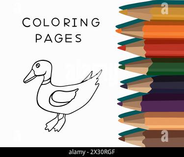 Immagine vettoriale isolata della pagina di colorazione dell'anatra. Pagina da colorare per l'asilo. Illustrazione Vettoriale