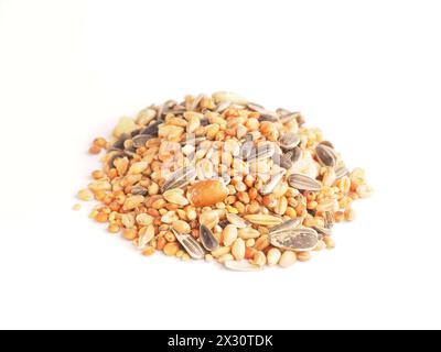 Cibo per uccelli su sfondo bianco, primo piano, concetto di alimentazione degli uccelli Foto Stock