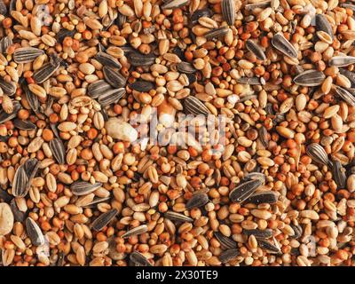 Consistenza del cibo per uccelli che utilizza come sfondo, primo piano, concetto di alimentazione degli uccelli, vista dall'alto Foto Stock