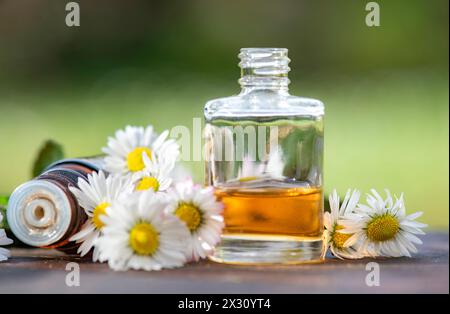 bottiglie di olio essenziale e margherite con foglie di menta fresche su un tavolo di legno all'aperto Foto Stock