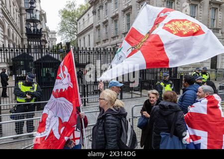 Londra, Regno Unito. 23 aprile 2024. La gente ondeggia bandiere fuori Downing Street durante una manifestazione del giorno di San Giorgio. La polizia metropolitana aveva precedentemente informato che membri di gruppi di estrema destra avrebbero partecipato al raduno. Crediti: Mark Kerrison/Alamy Live News Foto Stock