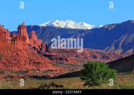 Geografia / viaggi, Stati Uniti, Utah, Moab, Fisher Towers, montagne la Sal, fiume Colorado, INFORMAZIONI-DIRITTI-AGGIUNTIVI-INFORMAZIONI-NON-DISPONIBILI Foto Stock