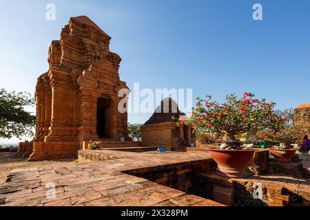 Le Torri di po Sah Inu Cham a Mui NE in Vietnam Foto Stock