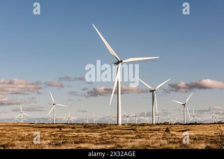 Alcune delle 215 turbine eoliche a Whitelee Windfarm a Eaglesham Moor, vicino a Glasgow, Scozia, Regno Unito, il più grande parco eolico onshore della Gran Bretagna Foto Stock