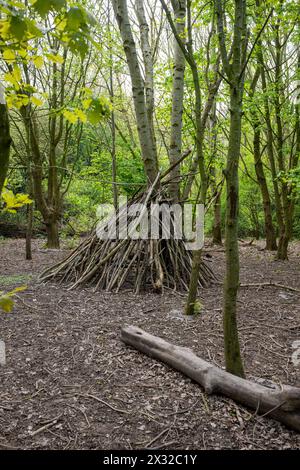 Un rifugio o campo è costruito da diversi camion abbattuti in un'area di bosco utilizzata dai bambini locali per attività scolastiche forestali. Foto Stock