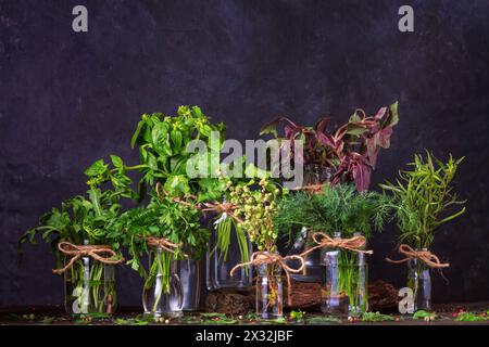 Vasetti con mazzetti di erbe da giardino fresche verdi si trovano sul tavolo su uno sfondo scuro. Cucina ancora vita Foto Stock