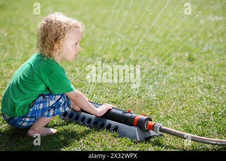 Il piccolo riccio gioca con l'irrigatore e guarda i getti in giardino durante il sole del giorno estivo. Foto Stock