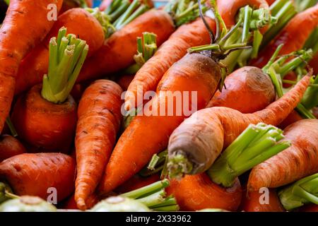 Radici di carote d'arancia fresche e biologiche sul mercato agricolo di Tenerife, Isole Canarie, Spagna, da vicino Foto Stock