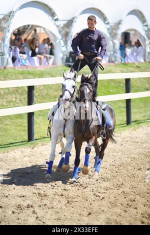 LYTKARINO, RUSSIA - 23 MAGGIO 2014: Il pilota esegue il compito con due cavalli al campionato russo dzhigitovka nel complesso sportivo equestre Sozidat Foto Stock