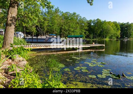 Affacciato sul litorale di un lago del nord nella contea di Washburn, Wisconsin. Foto Stock