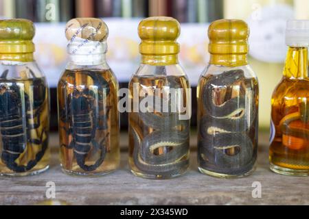 Choum, liquore di riso, vino di riso con Scorpioni e serpenti in vendita, Laos, Asia Foto Stock