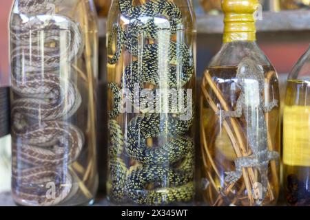 Choum, liquore di riso, vino di riso con Scorpioni e serpenti in vendita, Laos, Asia Foto Stock