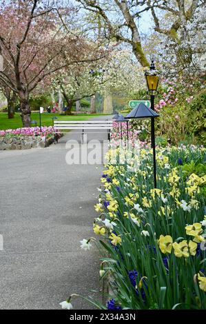 Fiori primaverili in piena fioritura nei bellissimi giardini di Butchart piantagioni di massa mostrano la bellezza della natura Foto Stock