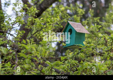 Birdhouse sospesa artigianale, immersa nel verde della natura. Foto Stock