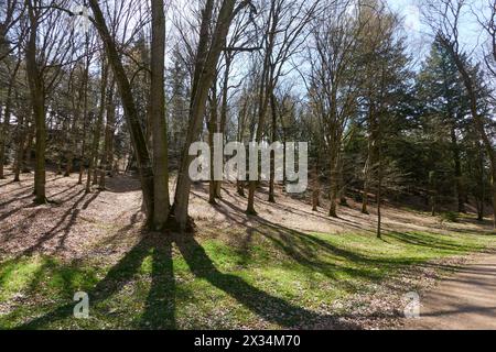 Pruhonice, Repubblica Ceca - 29 marzo 2024 - Parco del Castello di Pruhonice vicino a Praga all'inizio della primavera Foto Stock