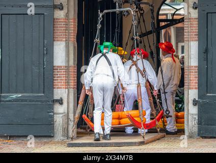 Alkmaar, Paesi Bassi, caseifici sul mercato del formaggio nella città olandese di Alkmaar. Foto Stock