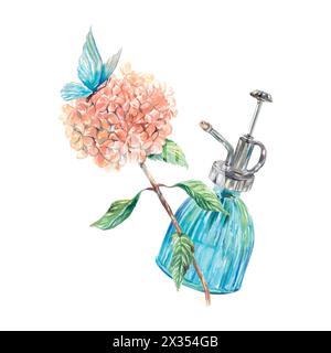 Ortensia rosa, spray per vetro, farfalla blu. Acquerello. Illustrazione del vettore di giardinaggio disegnata a mano per biglietti, inviti, etichette, copertine, poster. Illustrazione Vettoriale