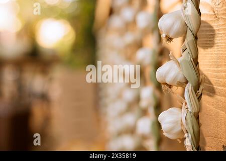 Attenzione selettiva agli spicchi bianchi biologici di aglio coltivati in casa appesi sullo stand del mercato verde. Vista dettagliata dei prodotti naturali appena raccolti esposti presso lo stand fieristico dell'azienda agricola in legno. Foto Stock