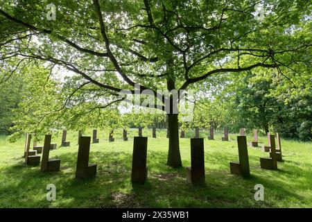 Le sedie in acciaio si ergono in cerchio intorno a un albero di quercia in un prato verde, Spring, The Parliament, installazione di Anatol Herzfeld, Museum Insel Hombroich Foto Stock