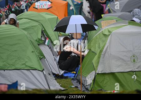 "Gaza Solidarity Encampment" presso la Columbia University il 24 aprile 3034 a New York. Foto Stock