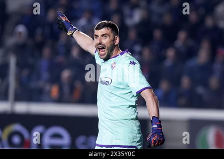 Bergamo, ITALIA, 24 aprile 2024. Pietro Terracciano (ACF Fiorentina) durante la semifinale di Frecciarossa Coppa Italia tra Atalanta e Fiorentina allo stadio Gewiss il 24 aprile 2024 a Bergamo. Crediti: Stefano Nicoli/Speed Media/Alamy Live News Foto Stock