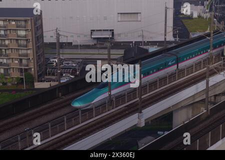 Shinkansen (treno proiettile) nella prefettura di Saitama, Giappone Foto Stock